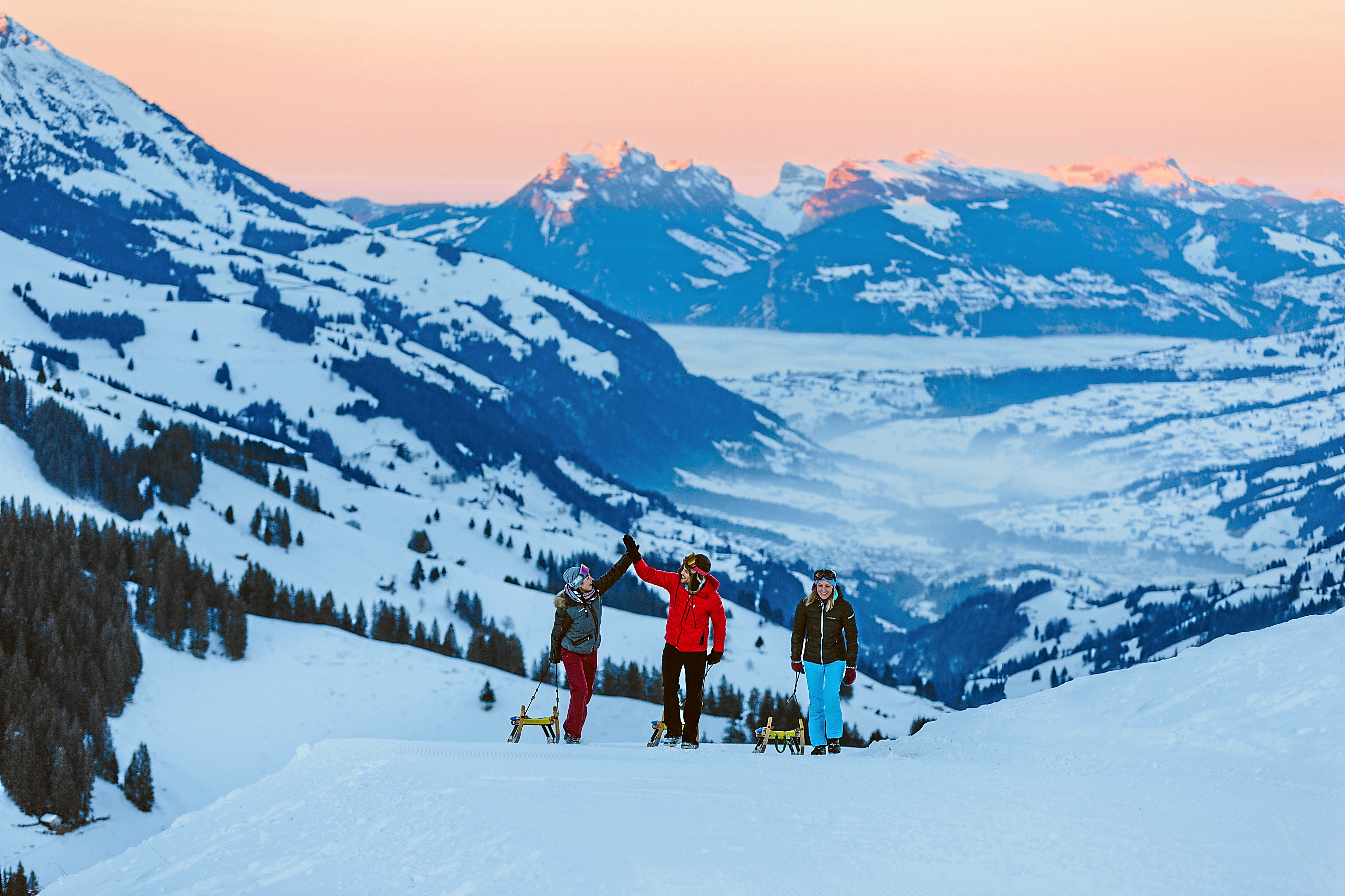 Schlittelpiste Elsigen-Metsch Schlittelpiste Elsigen-Metsch (Adelboden-Lenk)