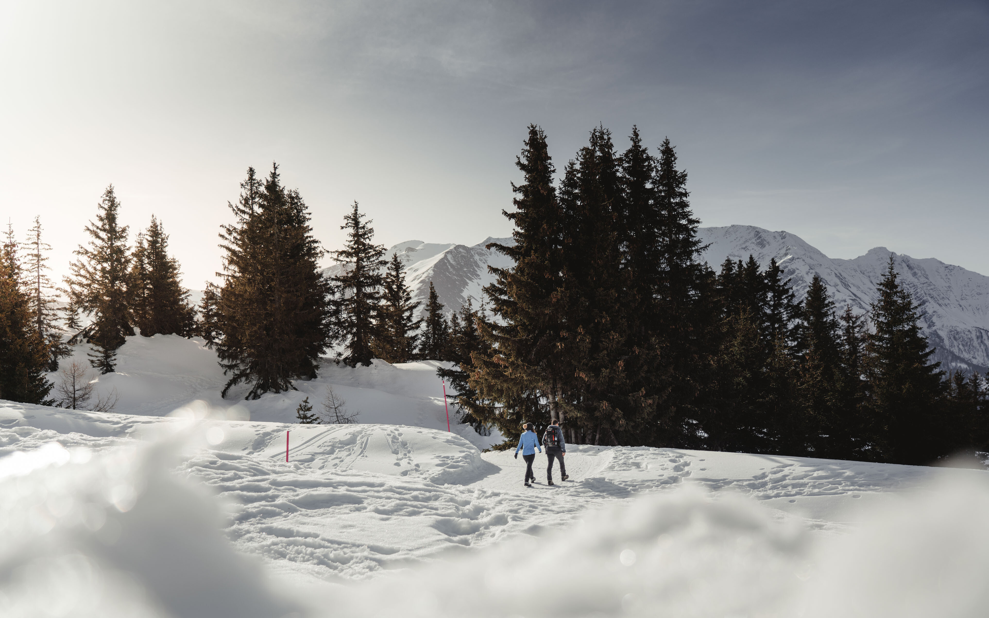 Waldpromenade Bettmeralp (Aletsch Arena)