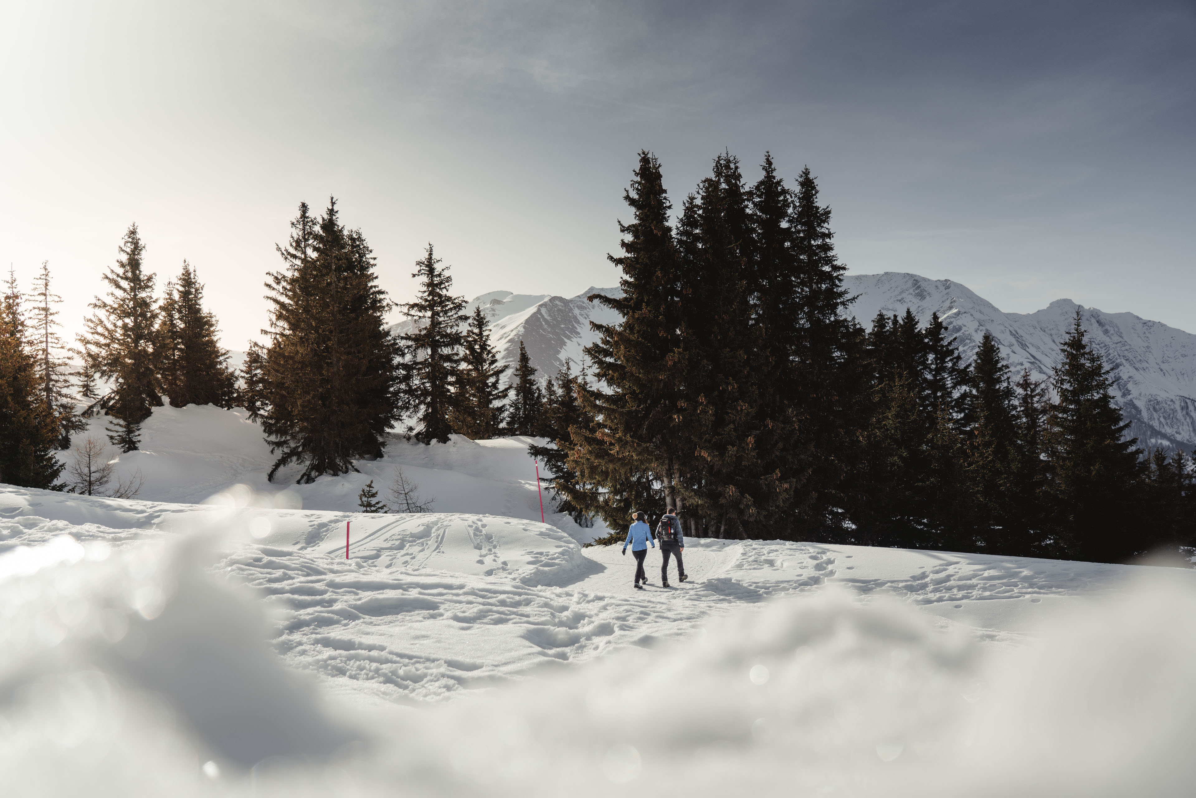 Waldpromenade Bettmeralp Waldpromenade Bettmeralp (Aletsch Arena)